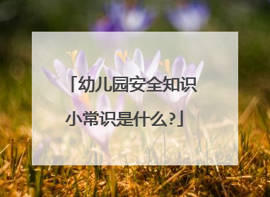 幼儿园安全知识小常识是什么?
