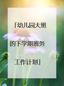 幼儿园大班的下学期班务工作计划