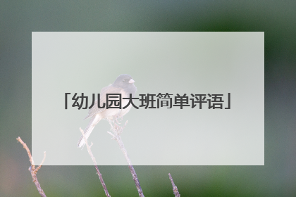 幼儿园大班简单评语