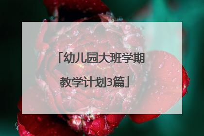 幼儿园大班学期教学计划3篇