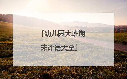 幼儿园大班期末评语大全