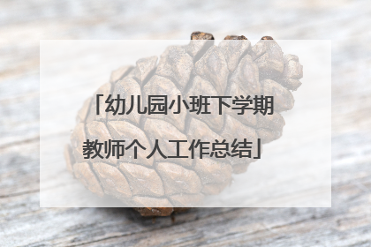 幼儿园小班下学期教师个人工作总结