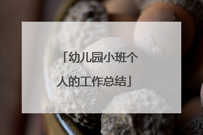 幼儿园小班个人的工作总结