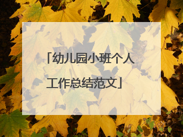 幼儿园小班个人工作总结范文
