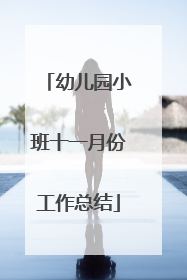 幼儿园小班十一月份工作总结
