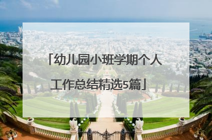 幼儿园小班学期个人工作总结精选5篇