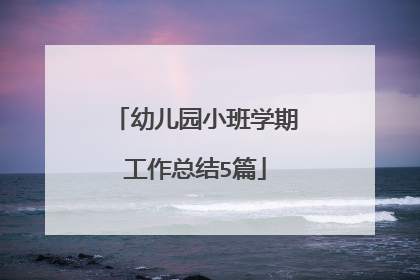 幼儿园小班学期工作总结5篇
