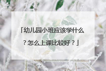 幼儿园小班应该学什么?怎么上课比较好?