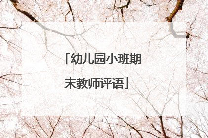 幼儿园小班期末教师评语