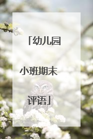 幼儿园小班期末评语