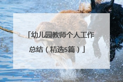 幼儿园教师个人工作总结（精选5篇）