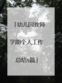 幼儿园教师学期个人工作总结5篇
