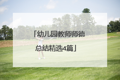 幼儿园教师师德总结精选4篇