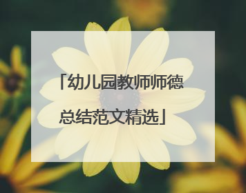 幼儿园教师师德总结范文精选