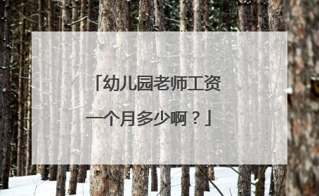 幼儿园老师工资一个月多少啊？