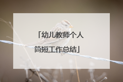 幼儿教师个人简短工作总结