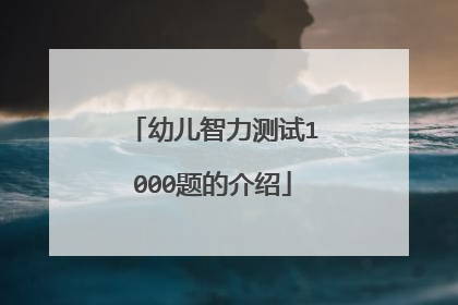 幼儿智力测试1000题的介绍