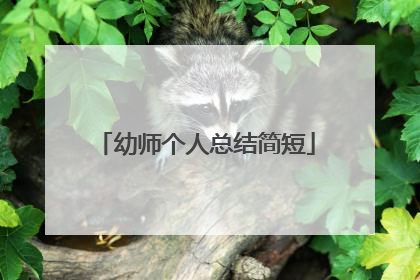 幼师个人总结简短
