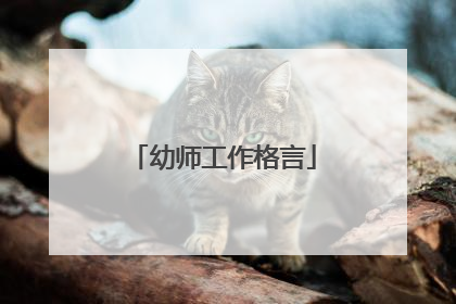 幼师工作格言