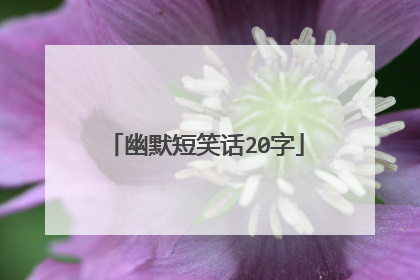 幽默短笑话20字