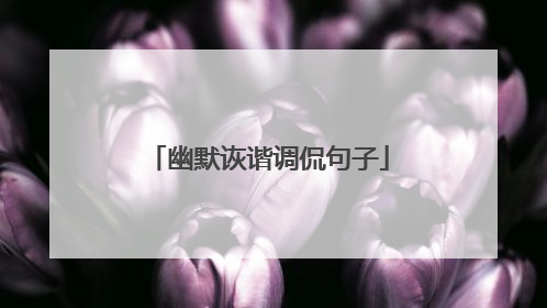 幽默诙谐调侃句子