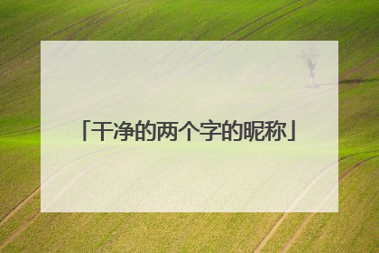 干净的两个字的昵称