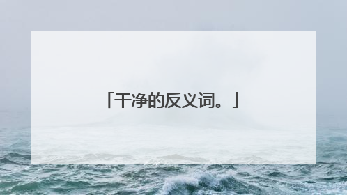 干净的反义词。