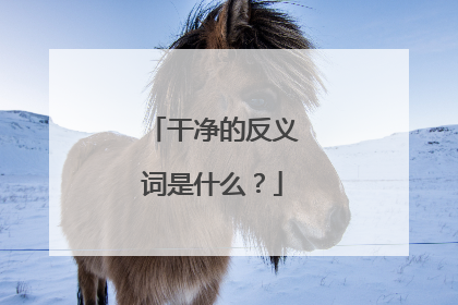 干净的反义词是什么?
