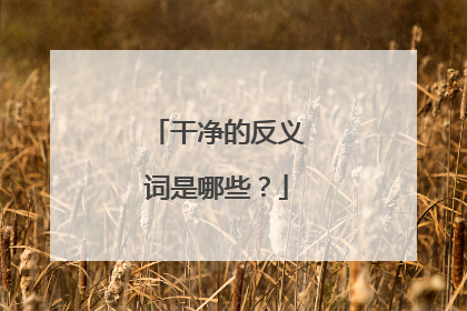 干净的反义词是哪些?