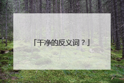 干净的反义词?