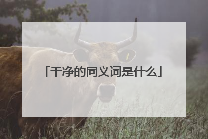 干净的同义词是什么