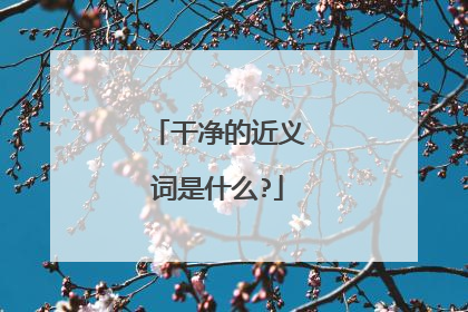 干净的近义词是什么?