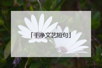 干净文艺短句