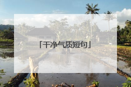 干净气质短句
