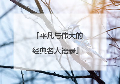 平凡与伟大的经典名人语录