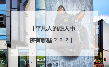 平凡人的感人事迹有哪些？？？