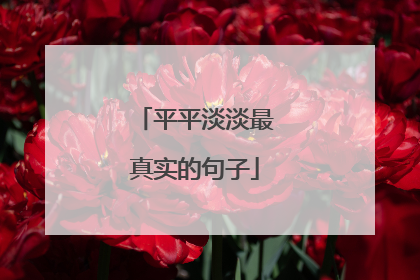 平平淡淡最真实的句子