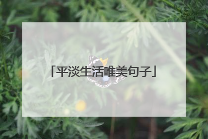 平淡生活唯美句子