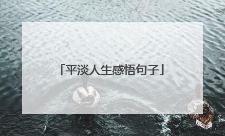 平淡人生感悟句子