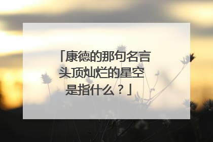 康德的那句名言 头顶灿烂的星空是指什么?