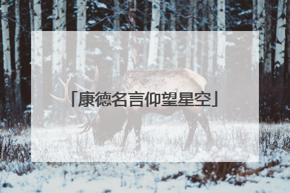 康德名言仰望星空