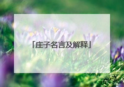 庄子名言及解释