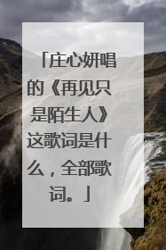 庄心妍唱的《再见只是陌生人》这歌词是什么,全部歌词。