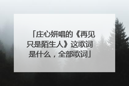 庄心妍唱的《再见只是陌生人》这歌词是什么,全部歌词