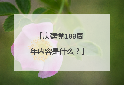 庆建党100周年内容是什么？