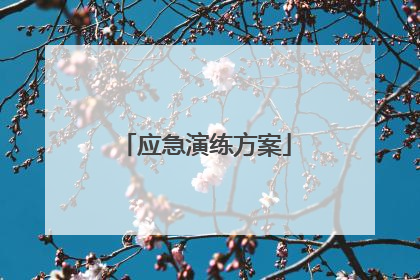 应急演练方案