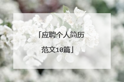 应聘个人简历范文10篇