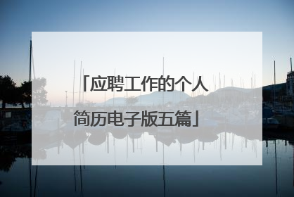 应聘工作的个人简历电子版五篇