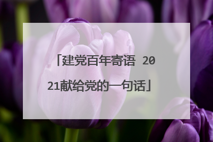 建党百年寄语 2021献给党的一句话
