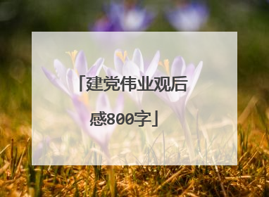 建党伟业观后感800字
